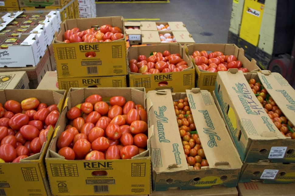 cardboard boxes filled with tomatoes free image | Peakpx