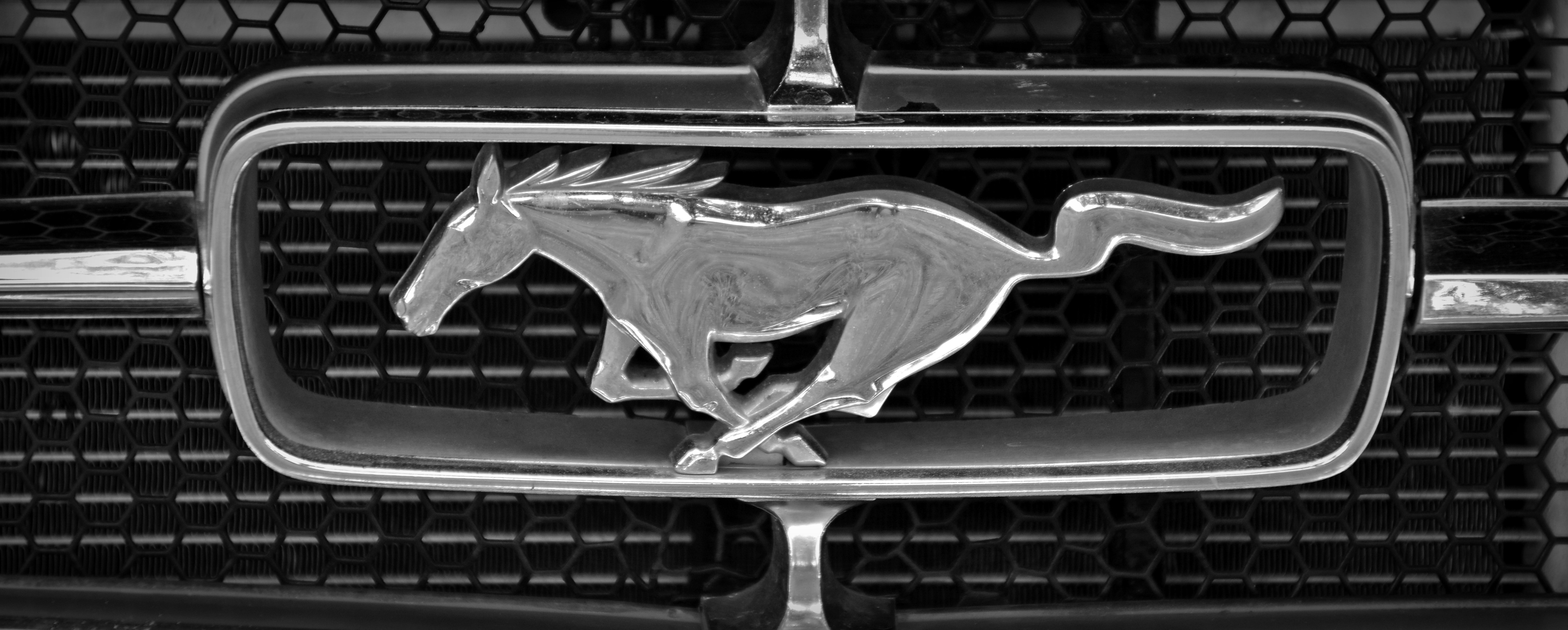 ford mustang logo free image | Peakpx