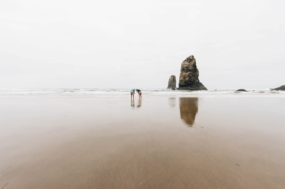 two person on seashore near brown rock formation under white sky during daytime preview
