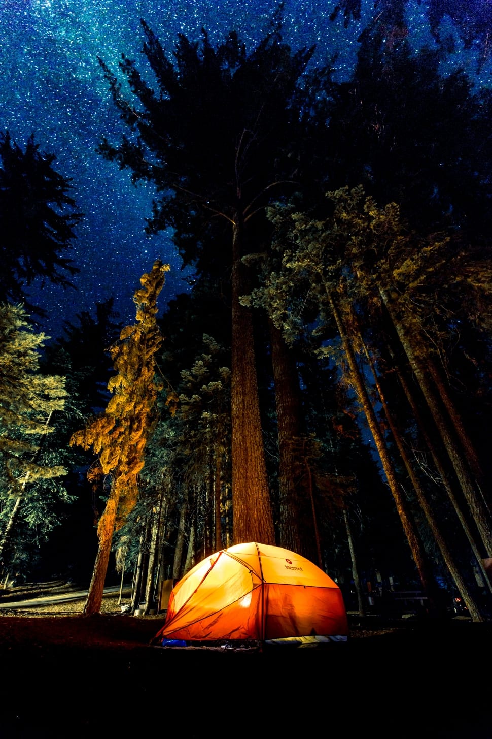 yellow and red campers tent in the middle of forest under starry sky at nighttime preview