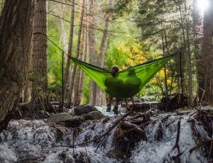 two people laying on green hammock surrounded with tall trees thumbnail