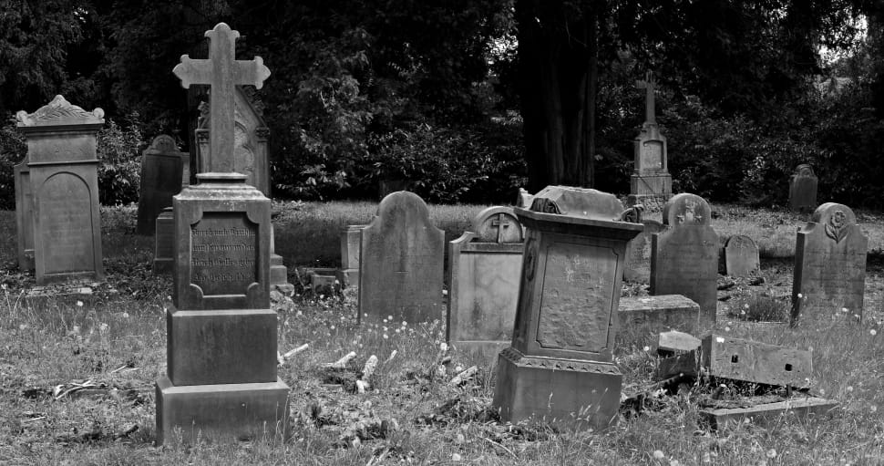 grayscale photo of cementary preview