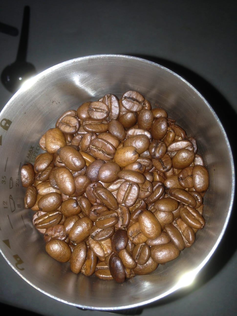 brown coffee beans preview