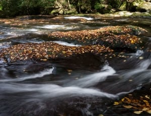 time laps photo of river thumbnail