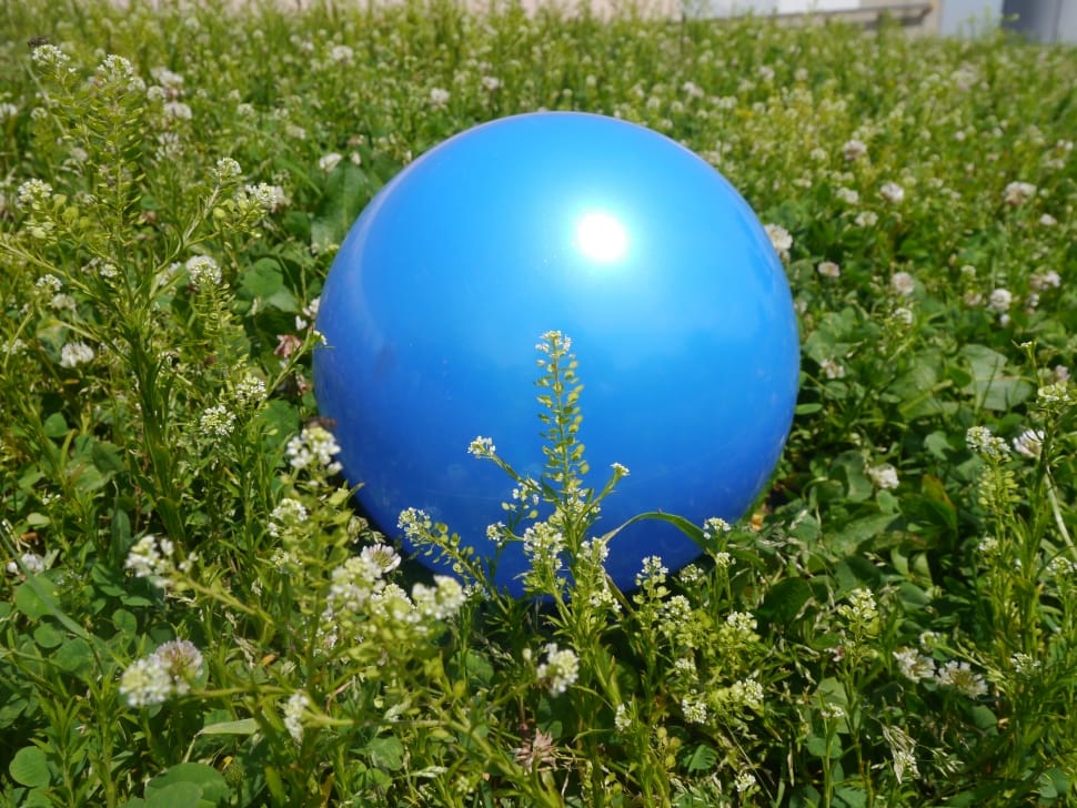 blue inflatable ball preview