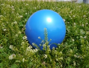 blue inflatable ball thumbnail