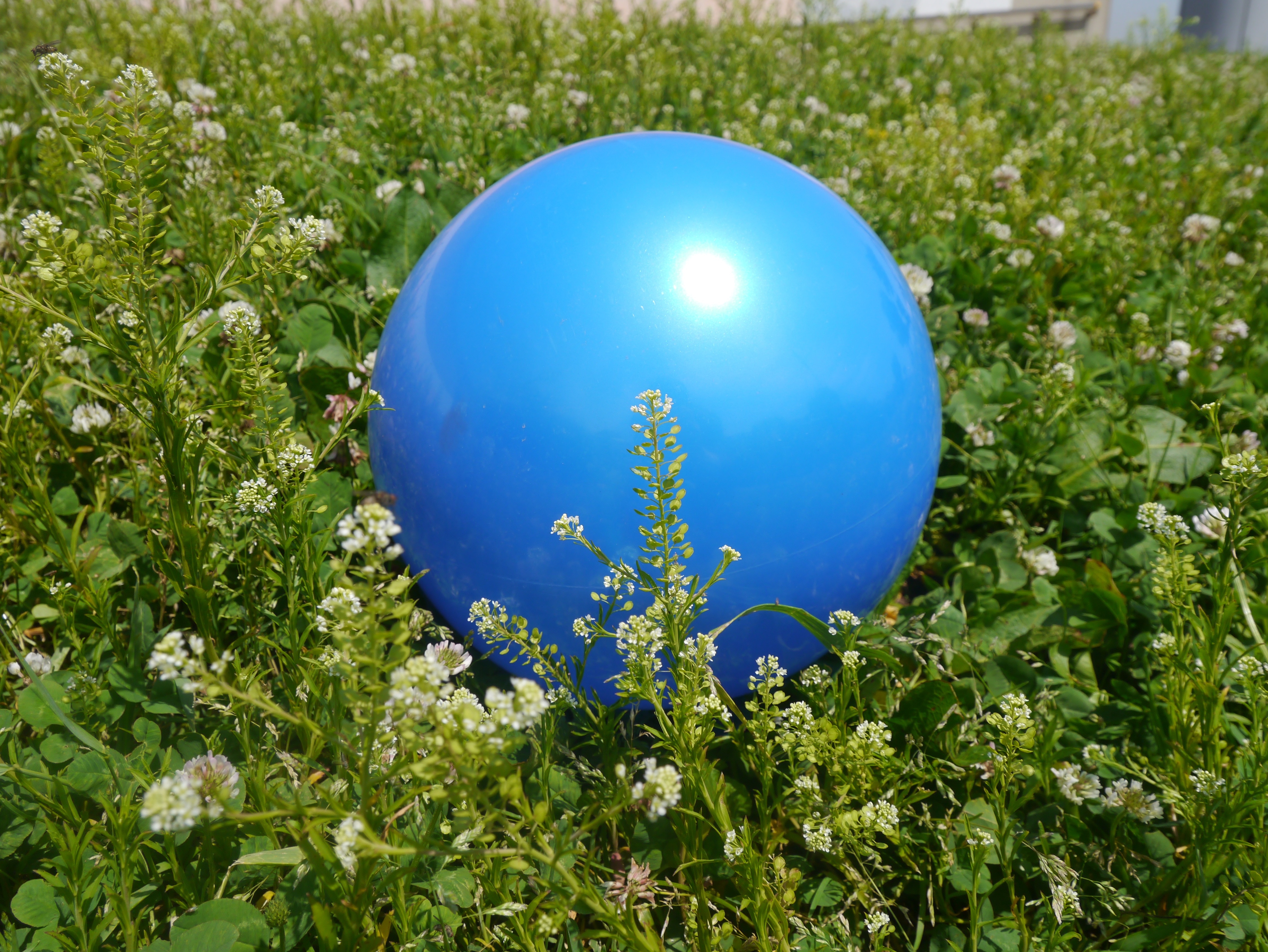 blue inflatable ball