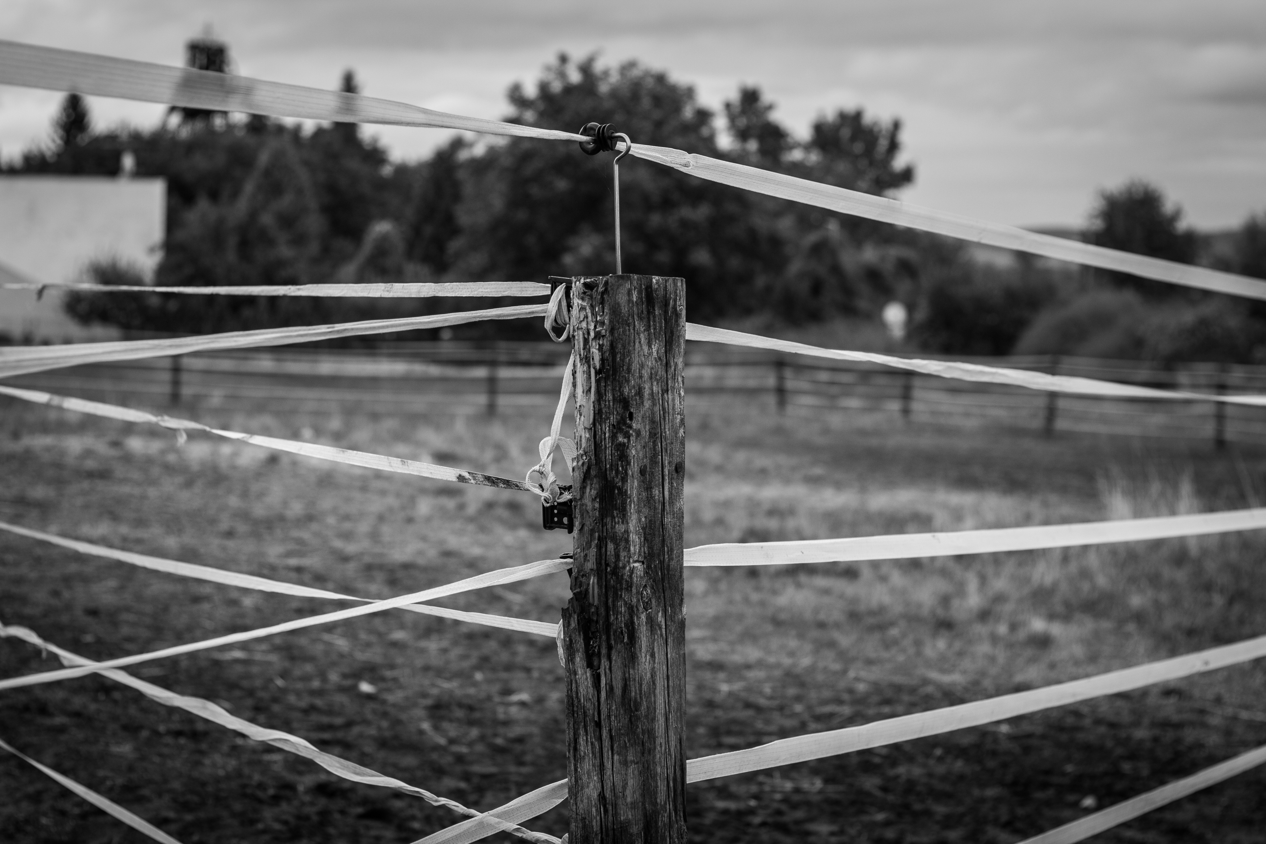 brown and white farm fence