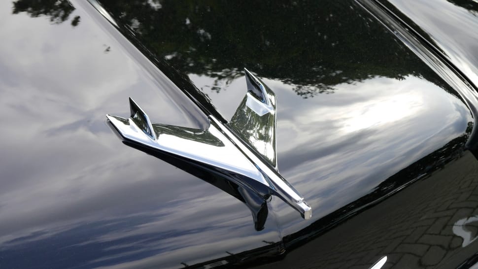 silver car emblem preview