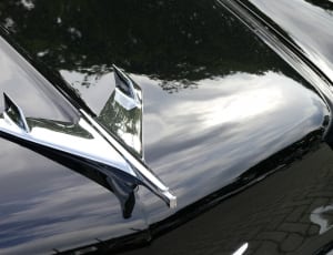 silver car emblem thumbnail