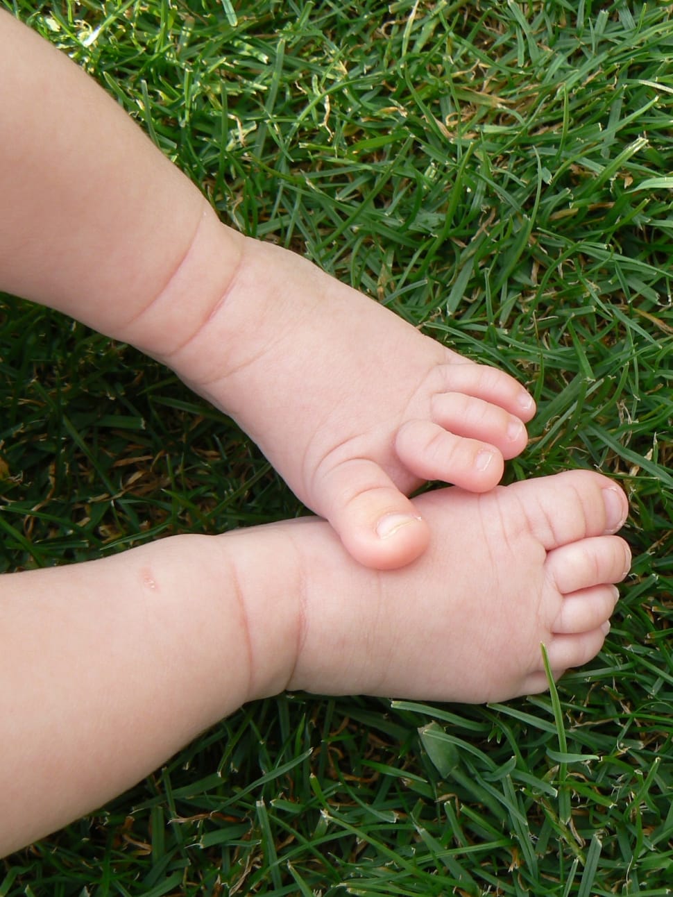 baby's feet preview