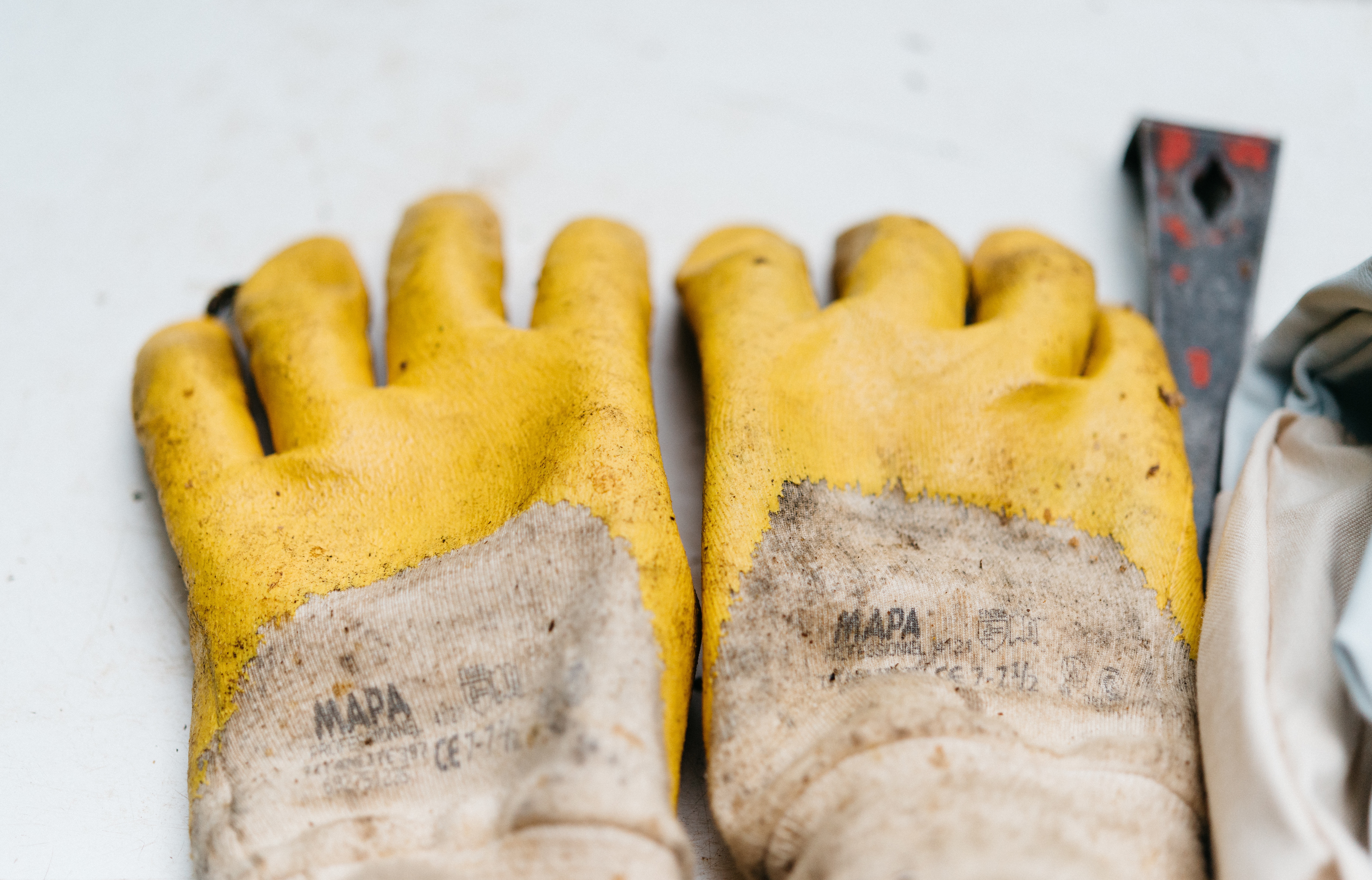 pair of yellow rubber gloves shown