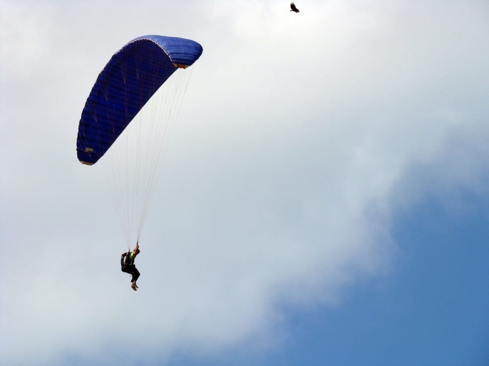 blue parachute preview