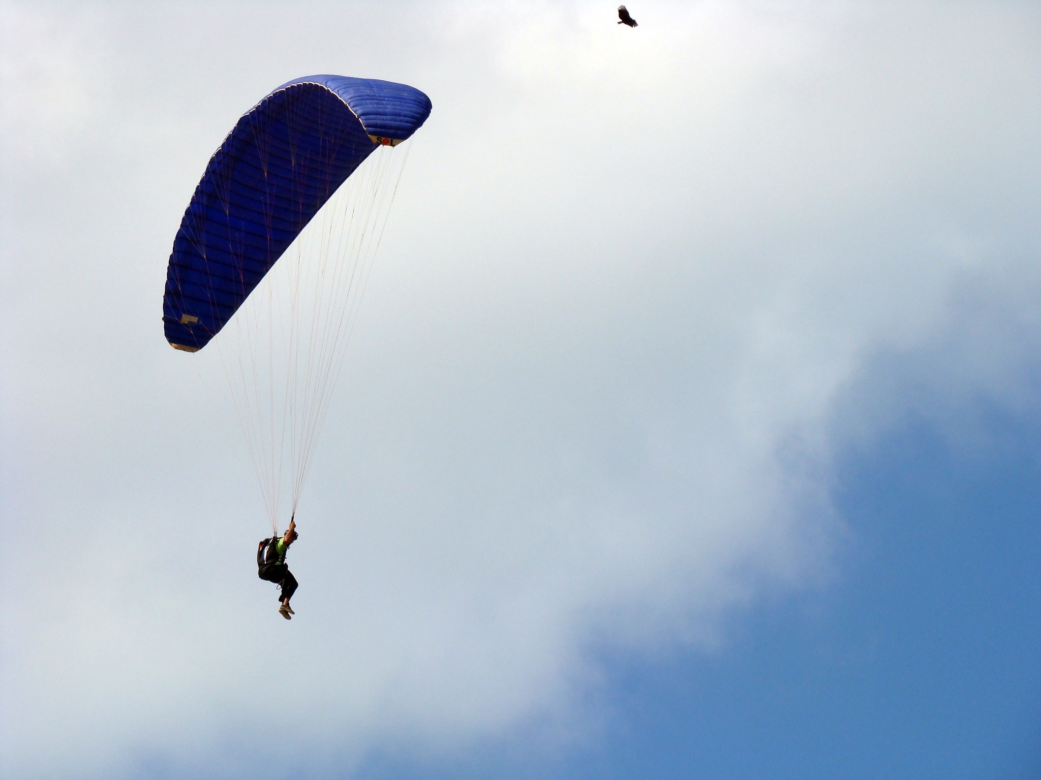 blue parachute
