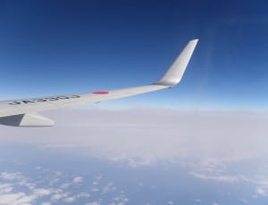 right airplane wing thumbnail