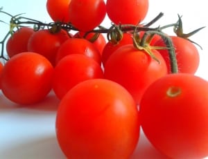 red tomatoes thumbnail
