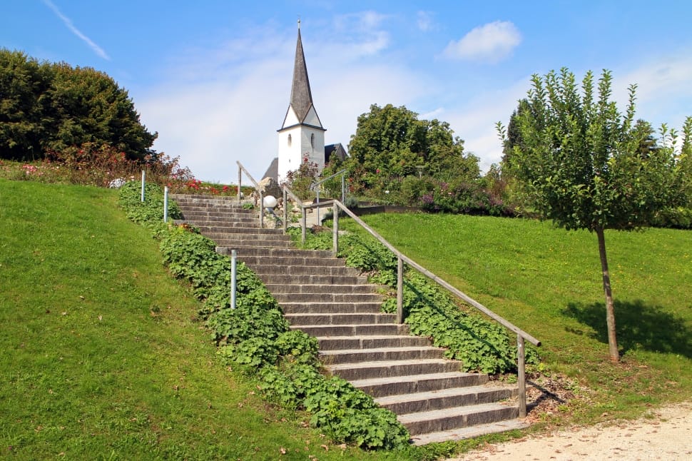 green trees and brown railings preview
