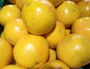 yellow orange fruits thumbnail