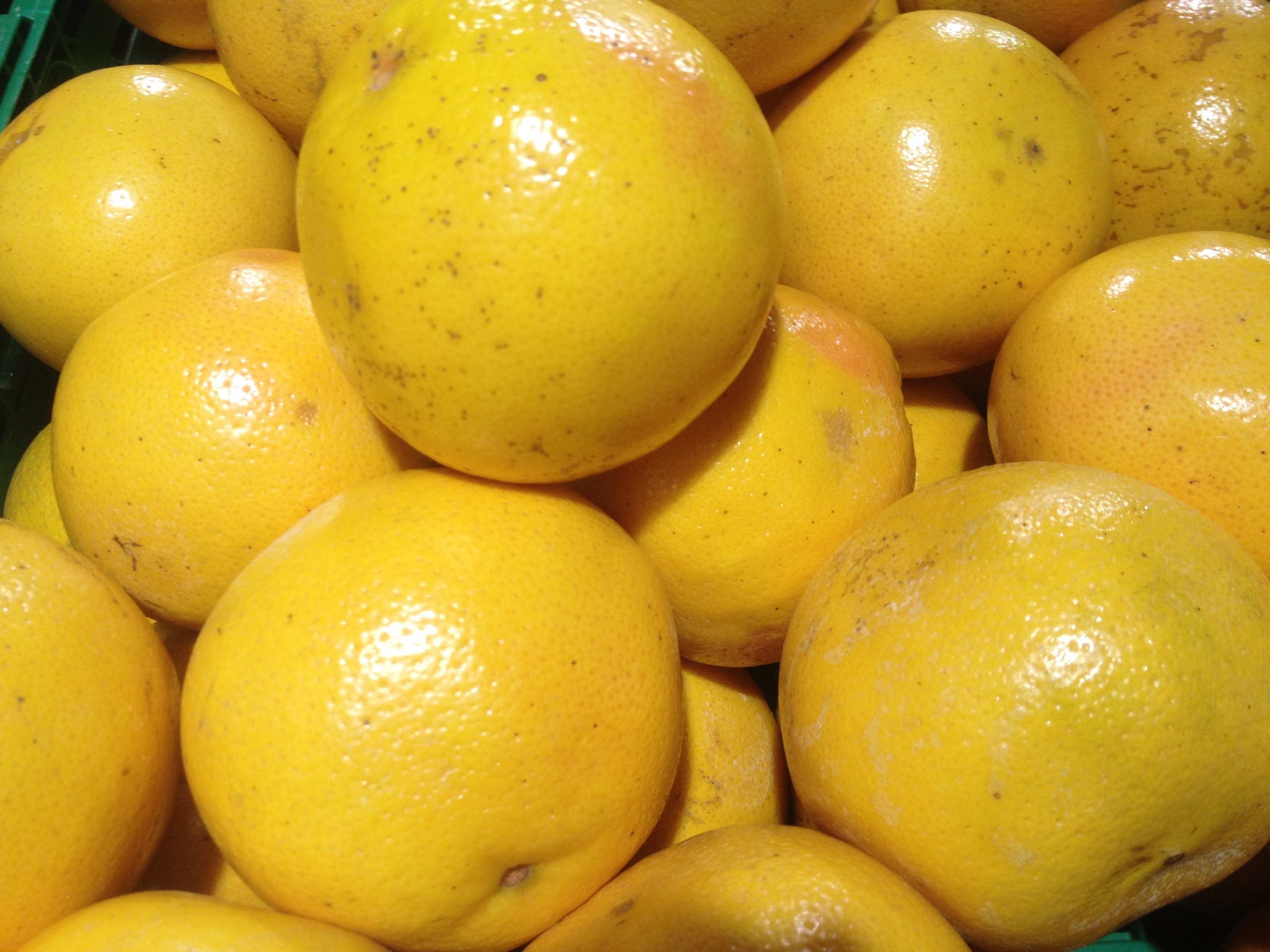 yellow orange fruits