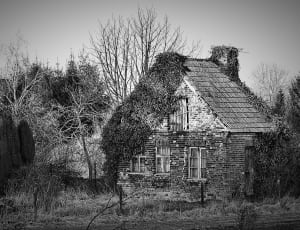 gray wooden house near trees thumbnail