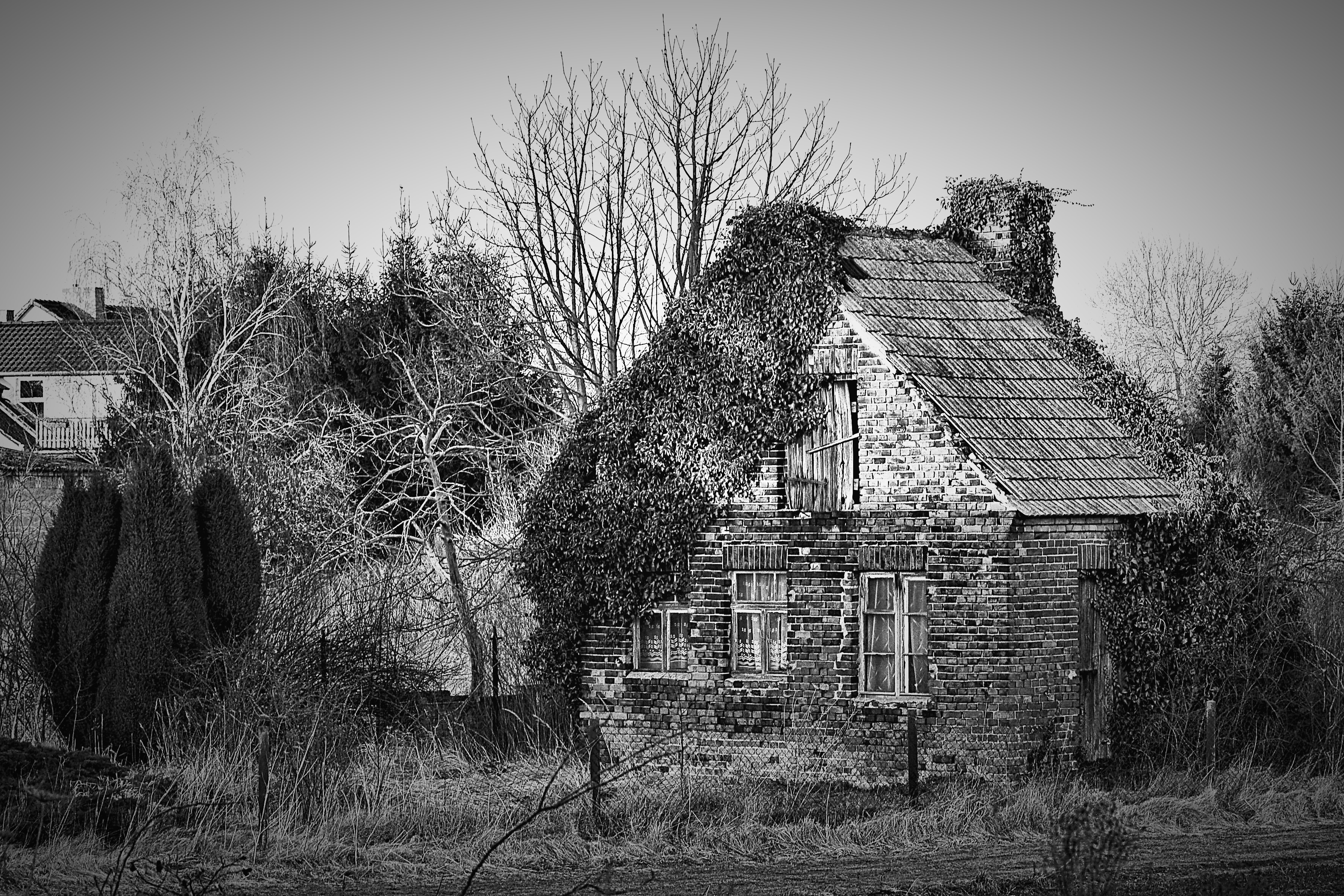 gray wooden house near trees