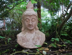 gautama buddha bust statue thumbnail