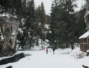 man standing in front of snow trees photo thumbnail