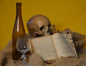 wine bottle and glass with book and skull thumbnail