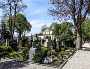 cemetery with gravestones thumbnail