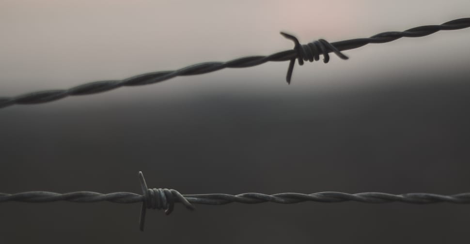 close up photo of barb wire preview