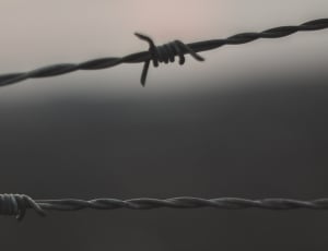 close up photo of barb wire thumbnail