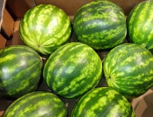10 watermelon thumbnail