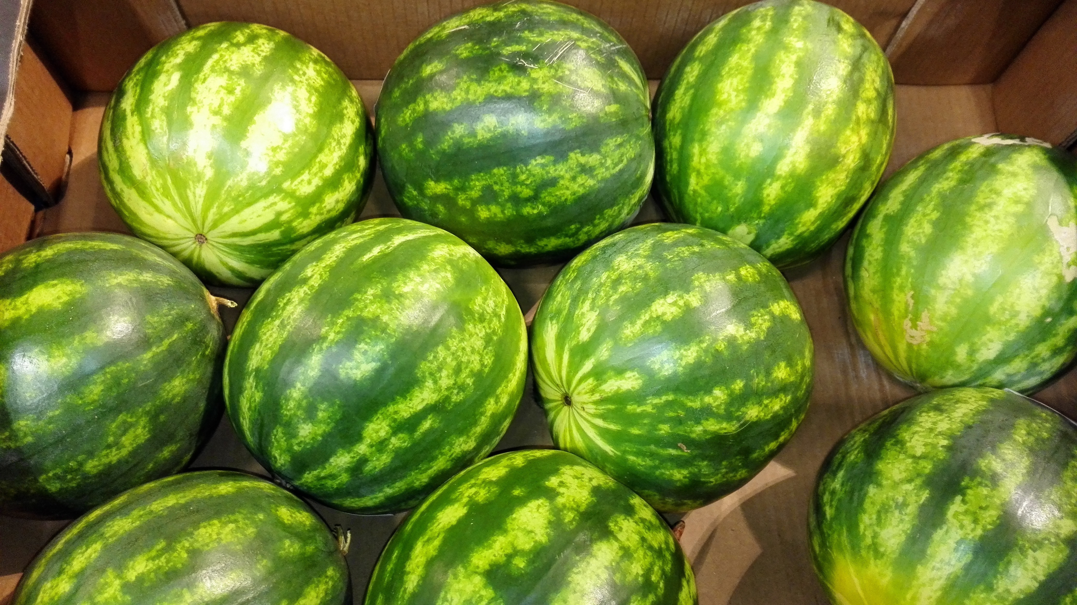 10 watermelon