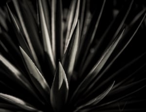 grey blades in selected focus photography thumbnail