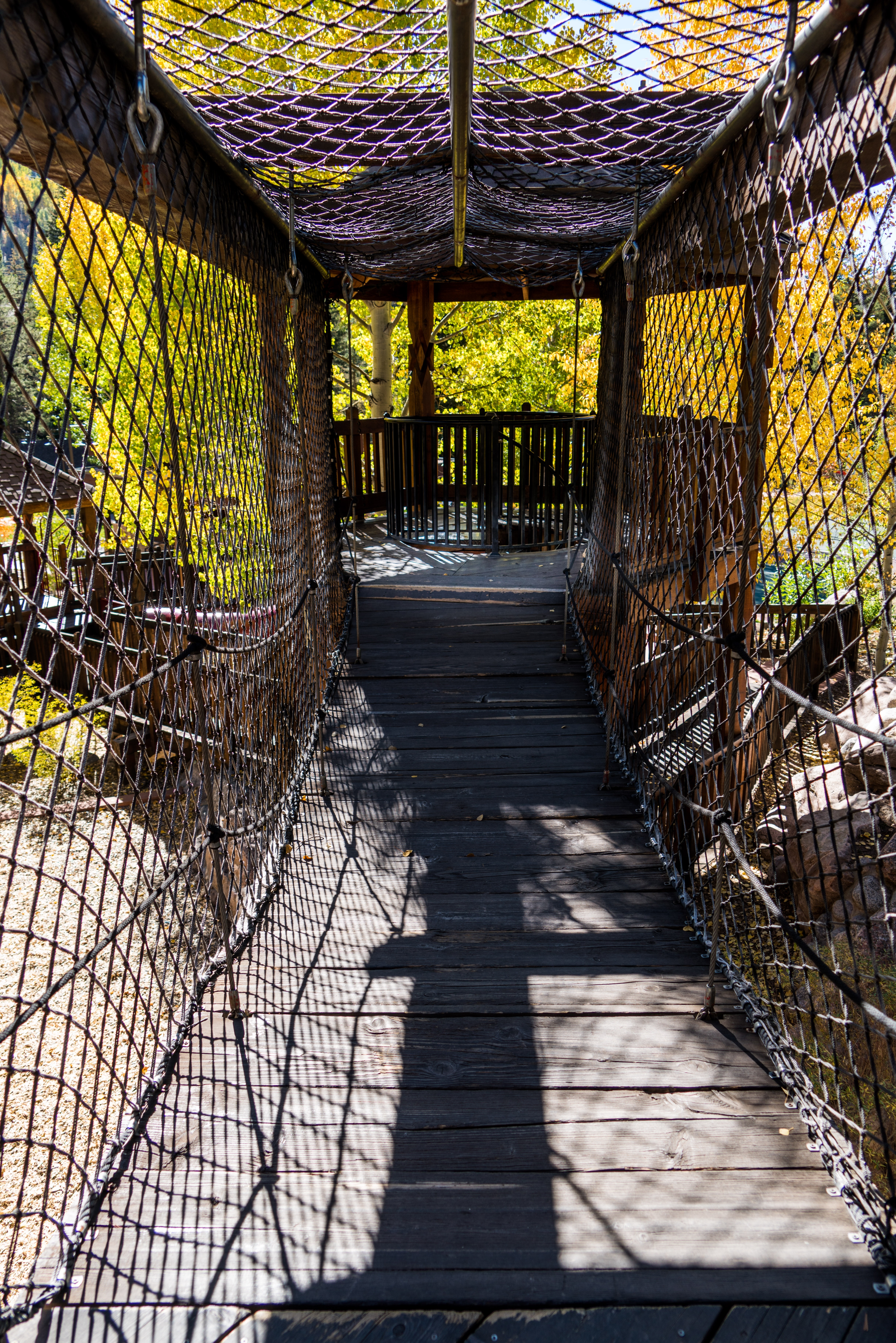 brown wooden bridge with net