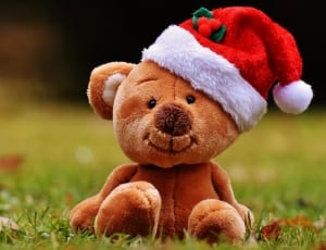 bear in santa hat plush toy thumbnail