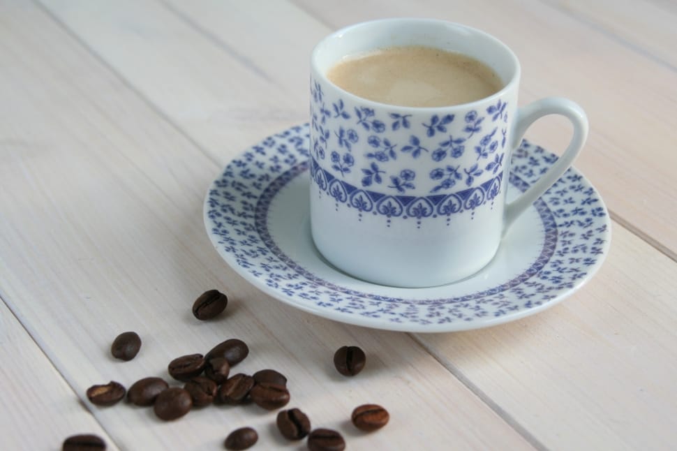white and blue ceramic teacup and saucer preview