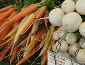 carrots and white round vegetable piles thumbnail