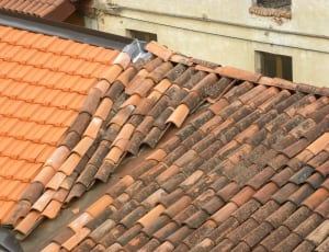 brown roof pavements thumbnail