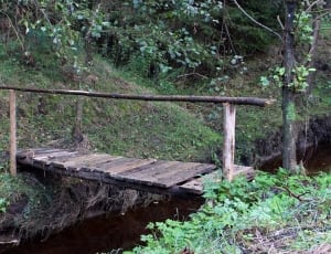 photo of brown wooden foot bridge near green trees thumbnail