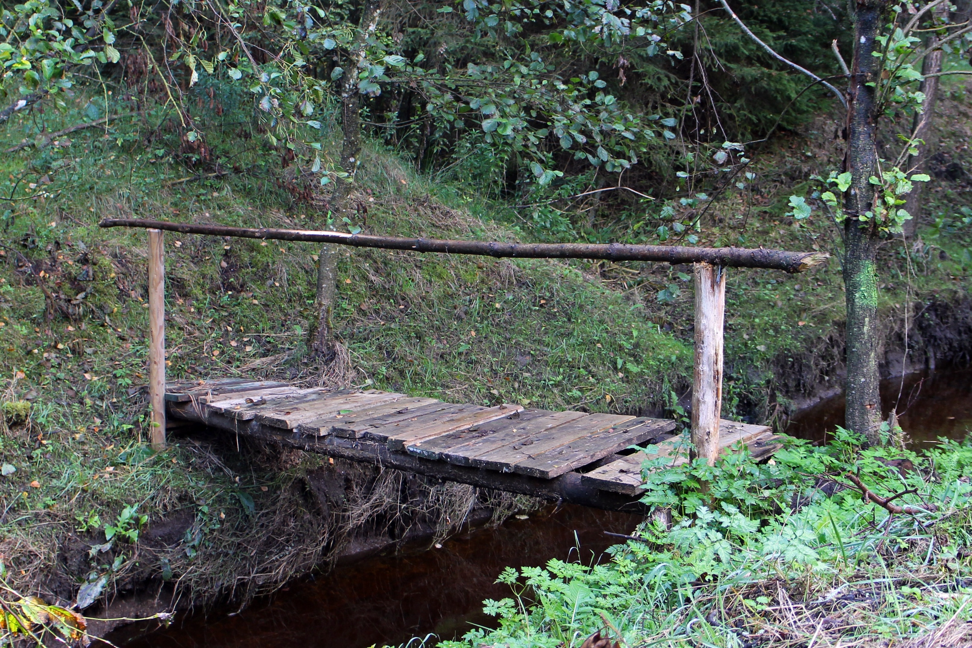 photo of brown wooden foot bridge near green trees