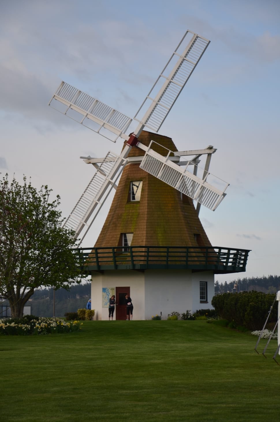 white and brown wind mill preview