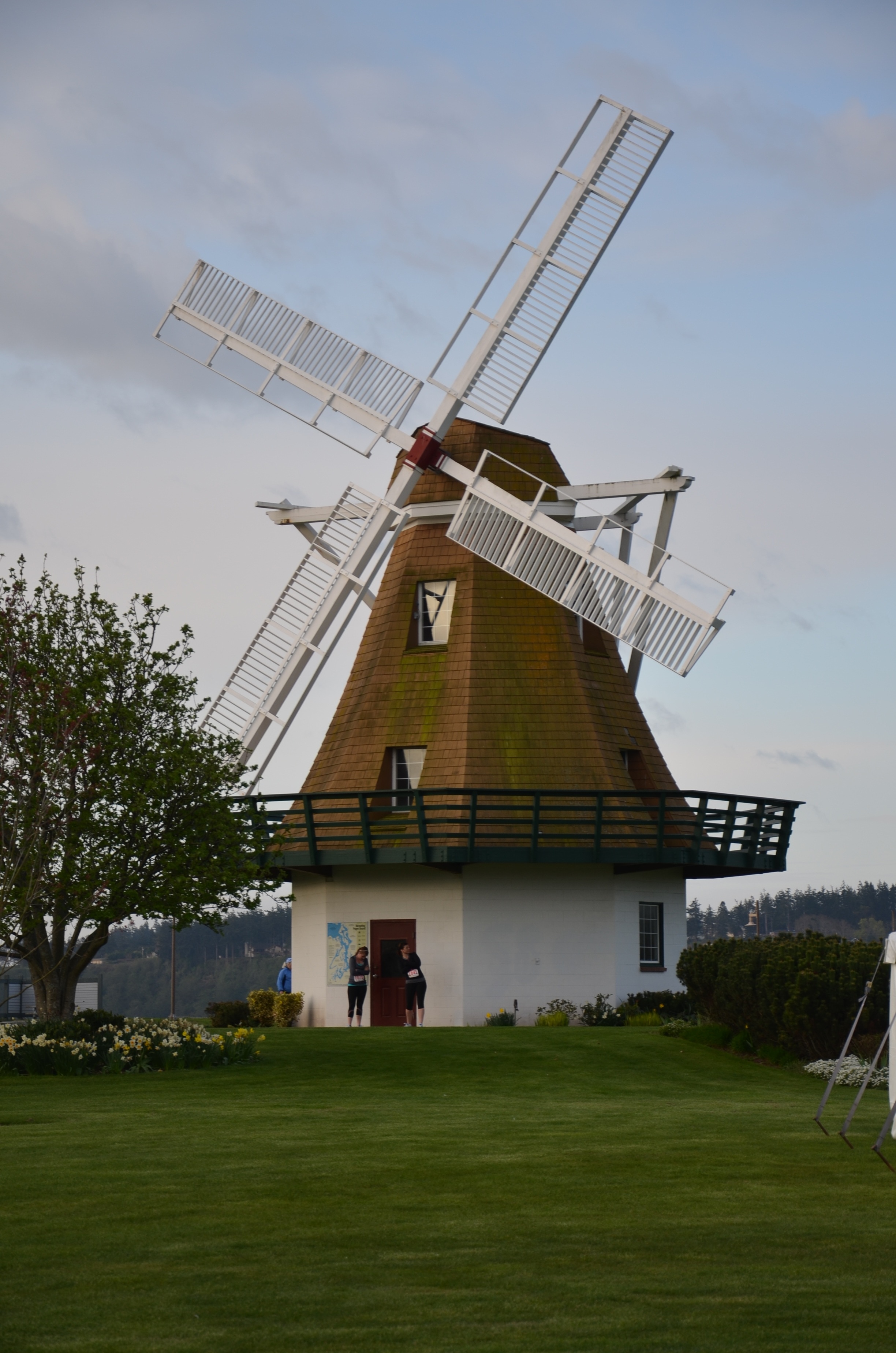 white and brown wind mill