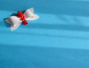 white and red ribbon ornament thumbnail