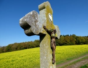 graveyard with crucifix thumbnail