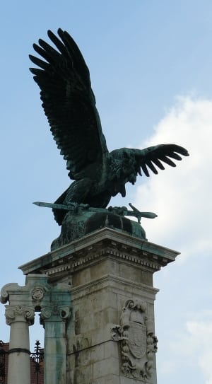 black eagle statue thumbnail