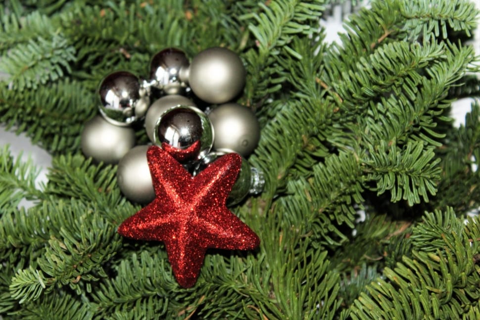 grey baubles, red starfish and green christmas tree preview