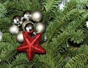 grey baubles, red starfish and green christmas tree thumbnail