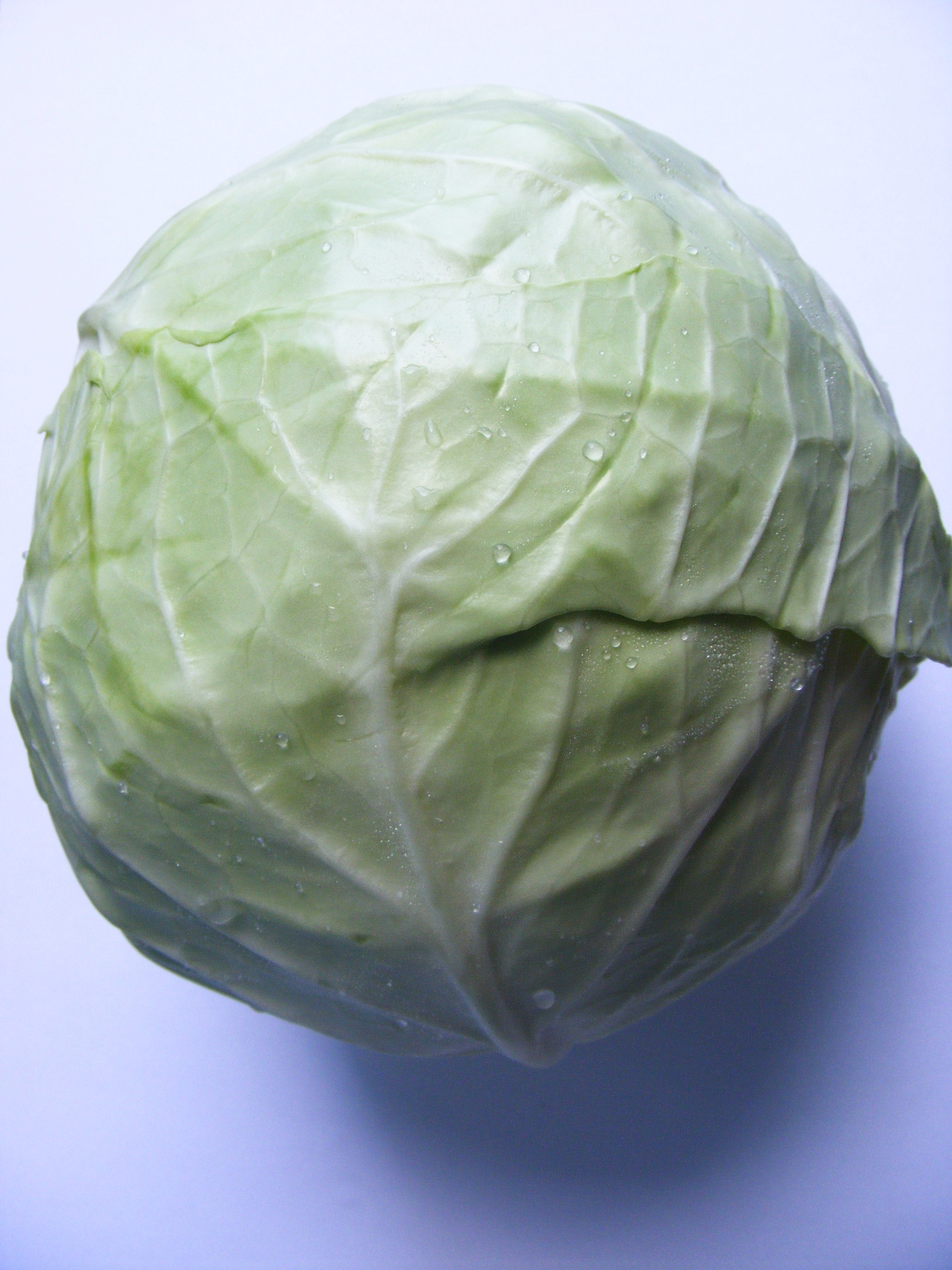 Download Royalty Free cabbage Stock Photos