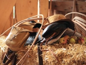 brown and black leather horse saddle thumbnail